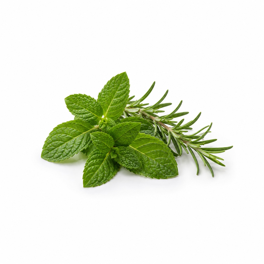 Herbs