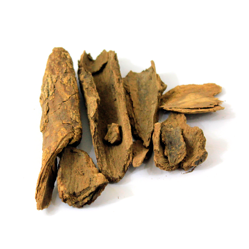 Maida Lakdi(Common Tallow Laurel)