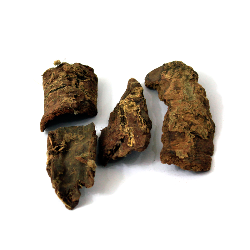 Box Myrtle (Kath Phal,Kaifal)