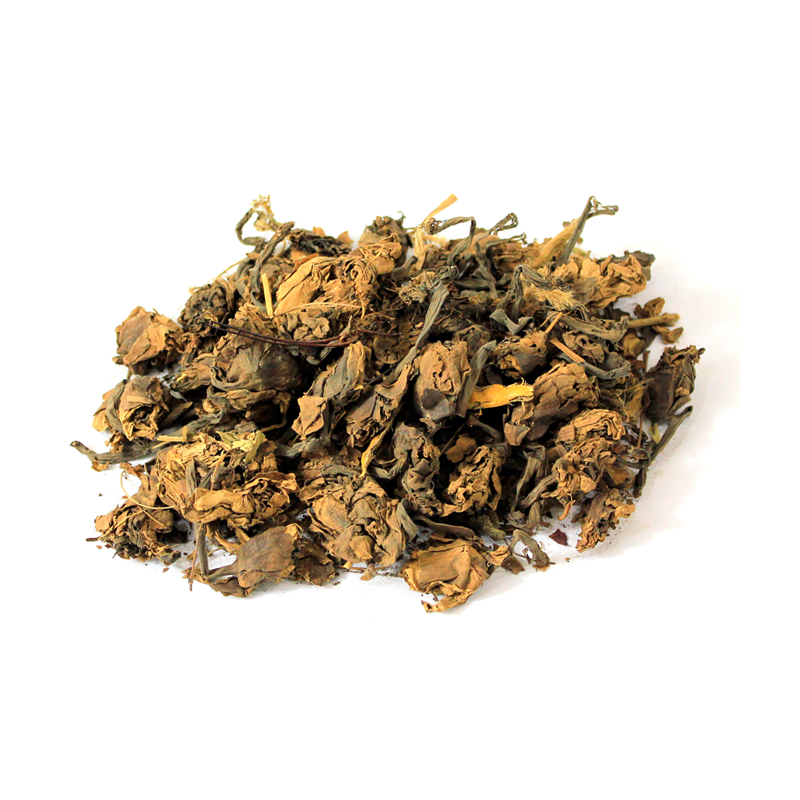 Water Lily Flower (Gul-e-Neelofer, Kanwal Ka Phool)