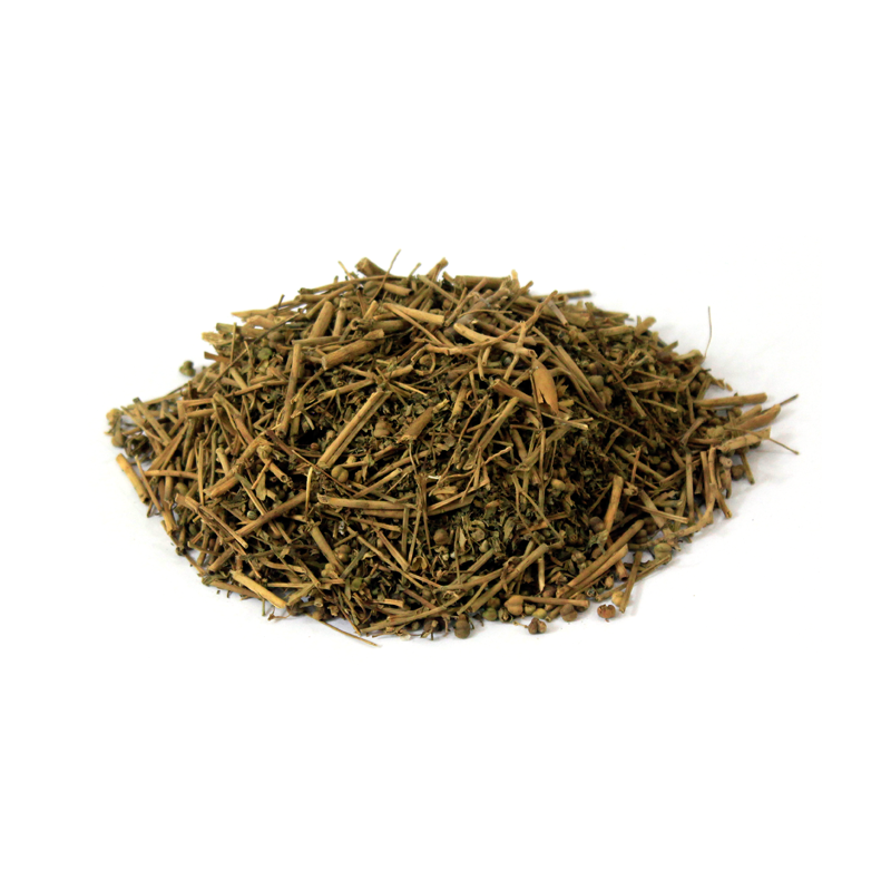 Globe Thistle (Barhami Dandi)