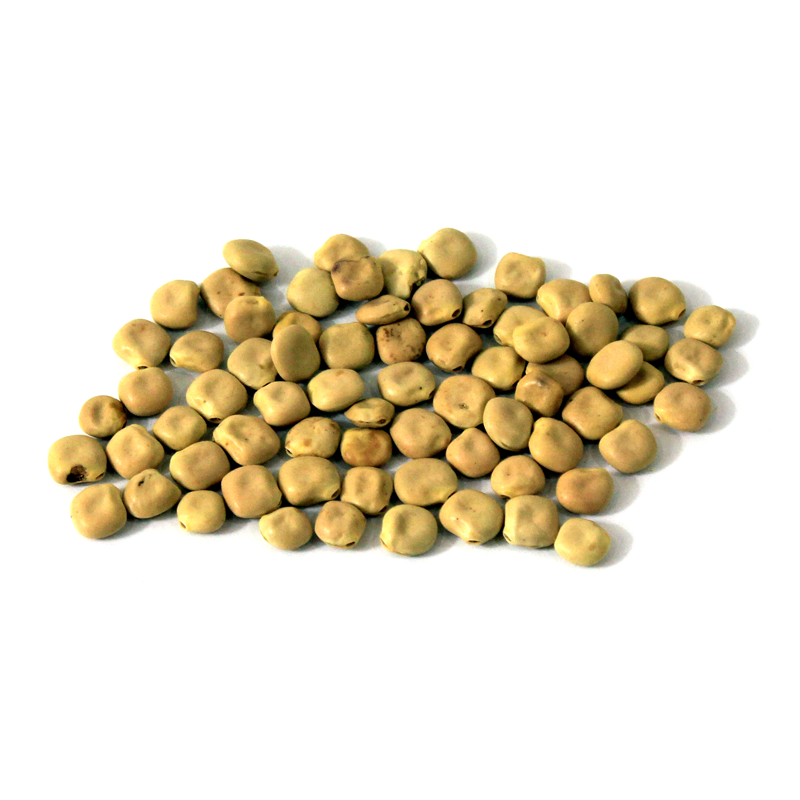 White Lupin (Turmis)