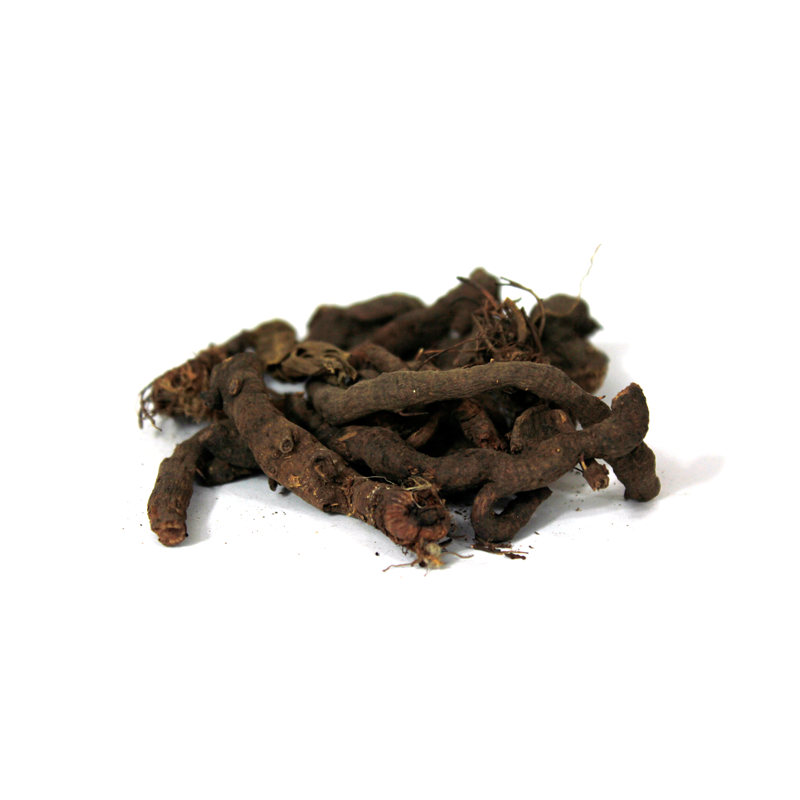Knotgrass (Baikh Anjbar)