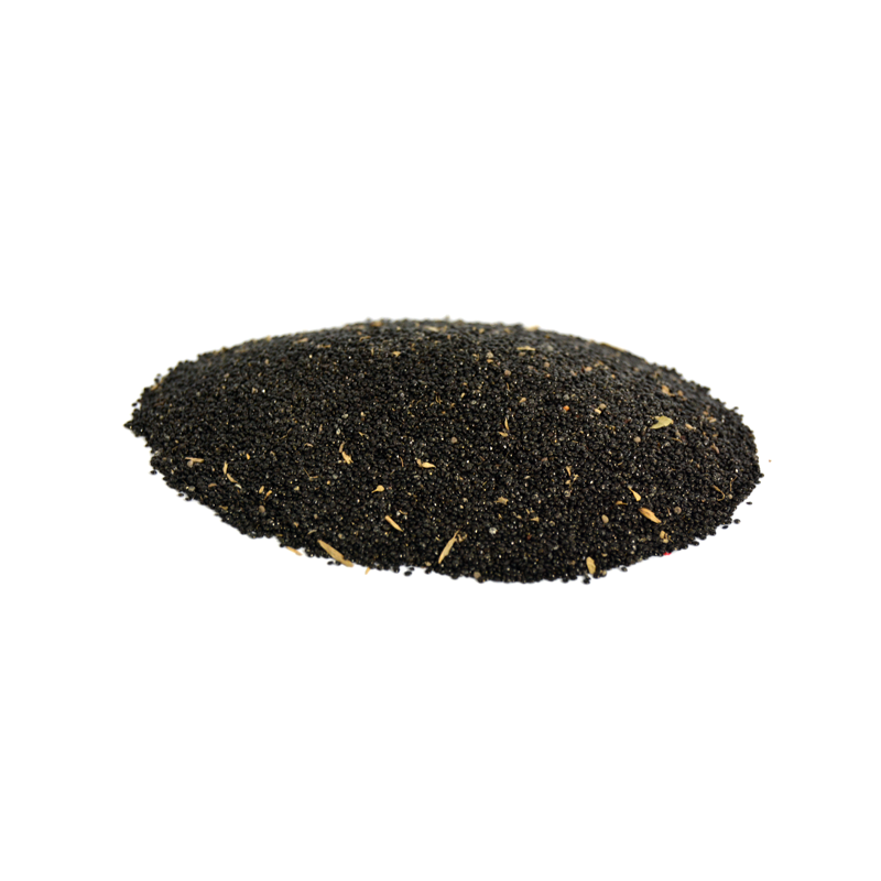 Plumed Cockscomb (Sarwali,surwali)