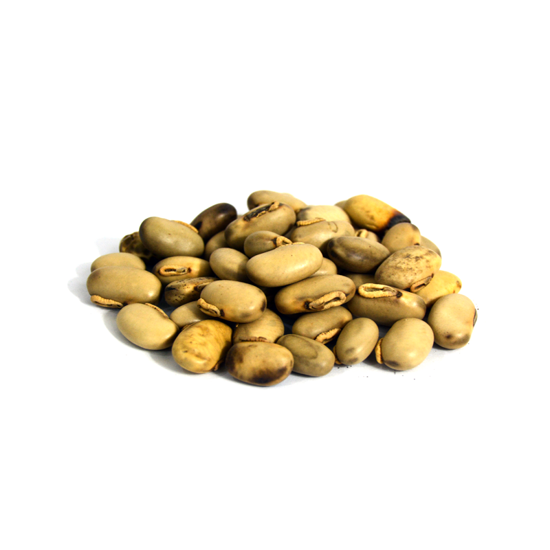 Kaunch Beej (Velvet Bean)