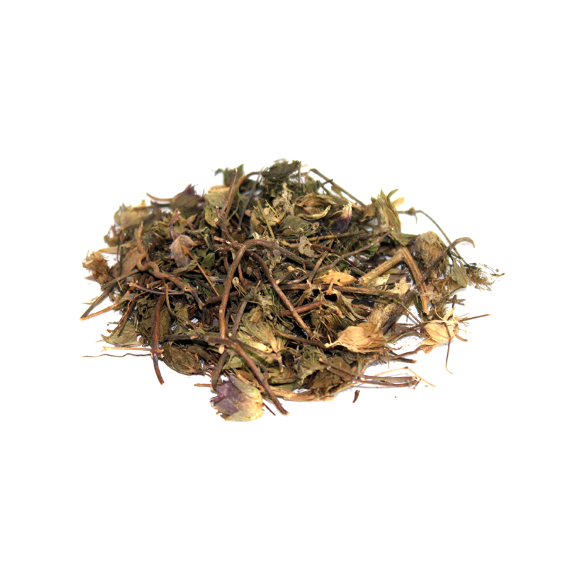 Gul Zoofa(Hyssop)