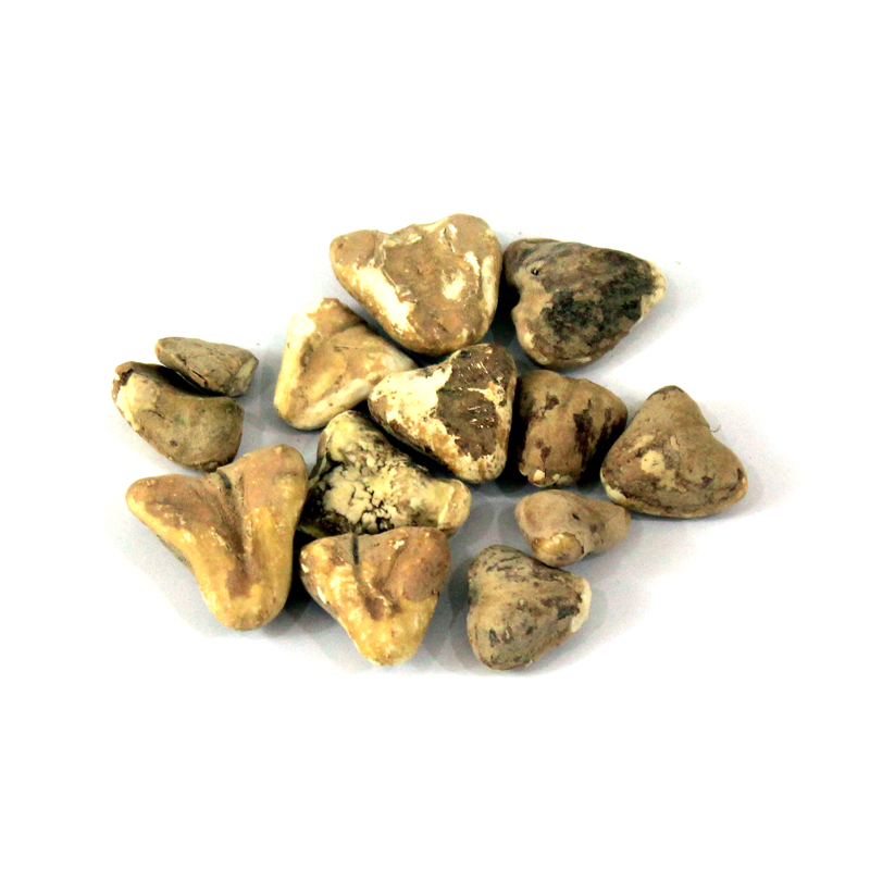 Dried Water Chestnuts (Singhara Khushk)