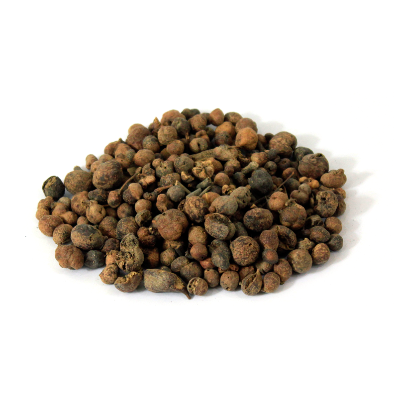 Australian Pine Tree Fruit (Mae Khurdo)