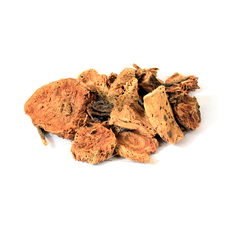 Silk Cotton Tree (Musli Senbhal,Musla sunbhal)