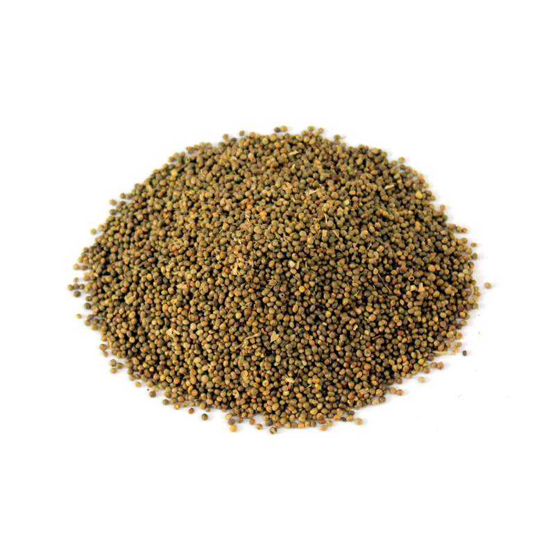 Madras Leaf Flower Seeds (Tukhm-e-Kanucha)