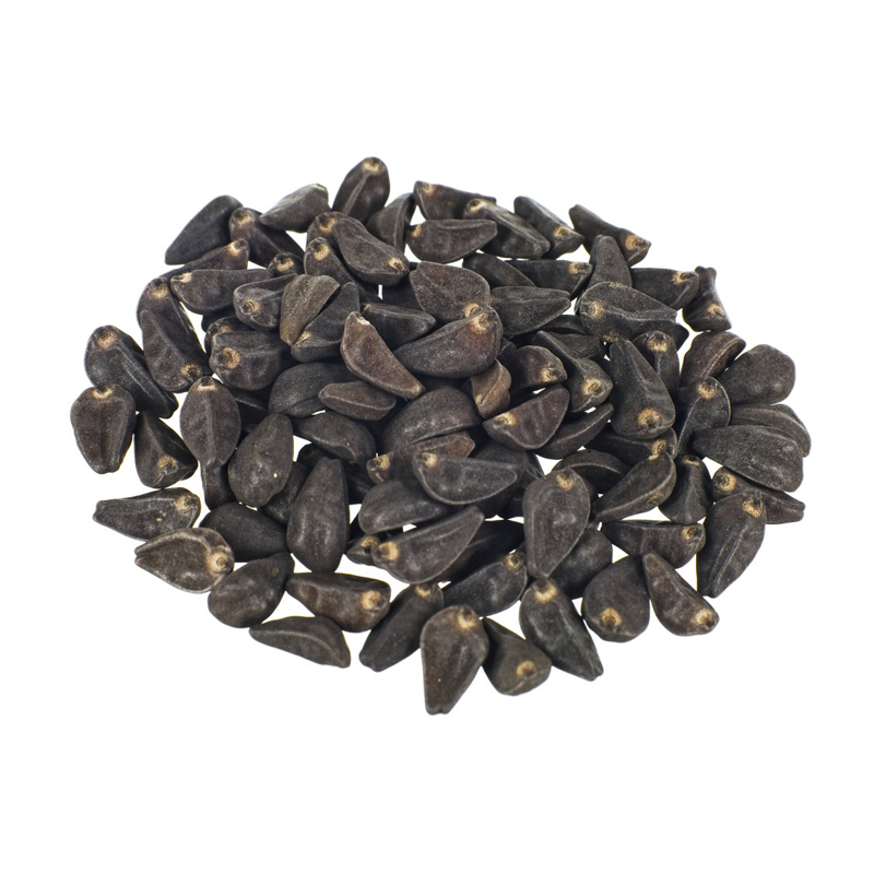 Japanese Morning Glory Seeds (Kala Dana,Tukhm-e-Neel)
