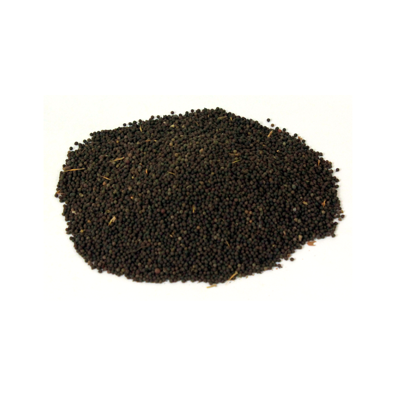 Mexican Poppy Seeds (Tukhm-e-Satenasee)