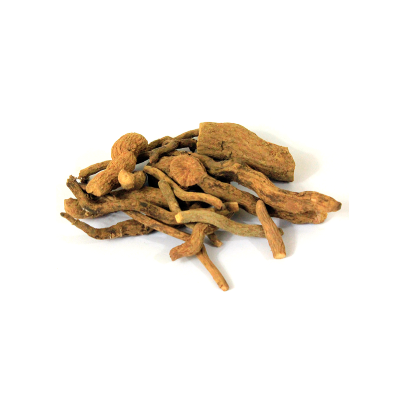 Snake Root (Asrol)