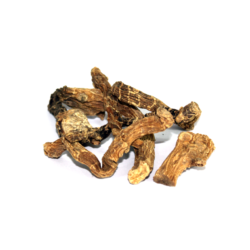 Indian Valerian (Mushk Bala,Asaroon)