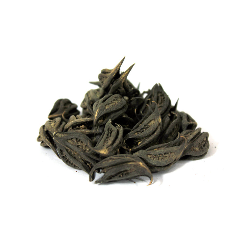 Stinging Nettle?(Bicho Phal)