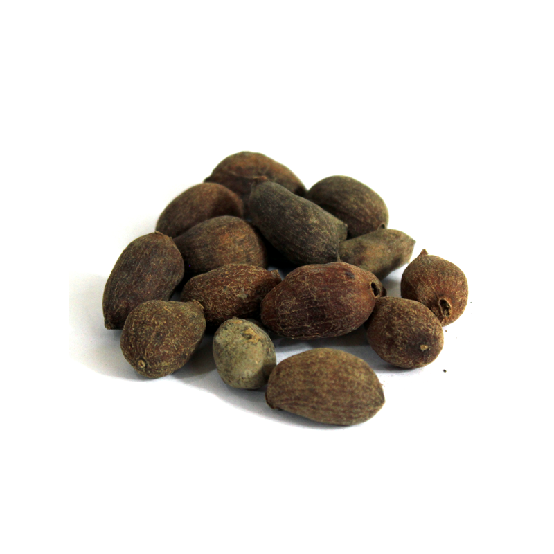 Tukhm-e-Jaman(Jambolan Seeds)