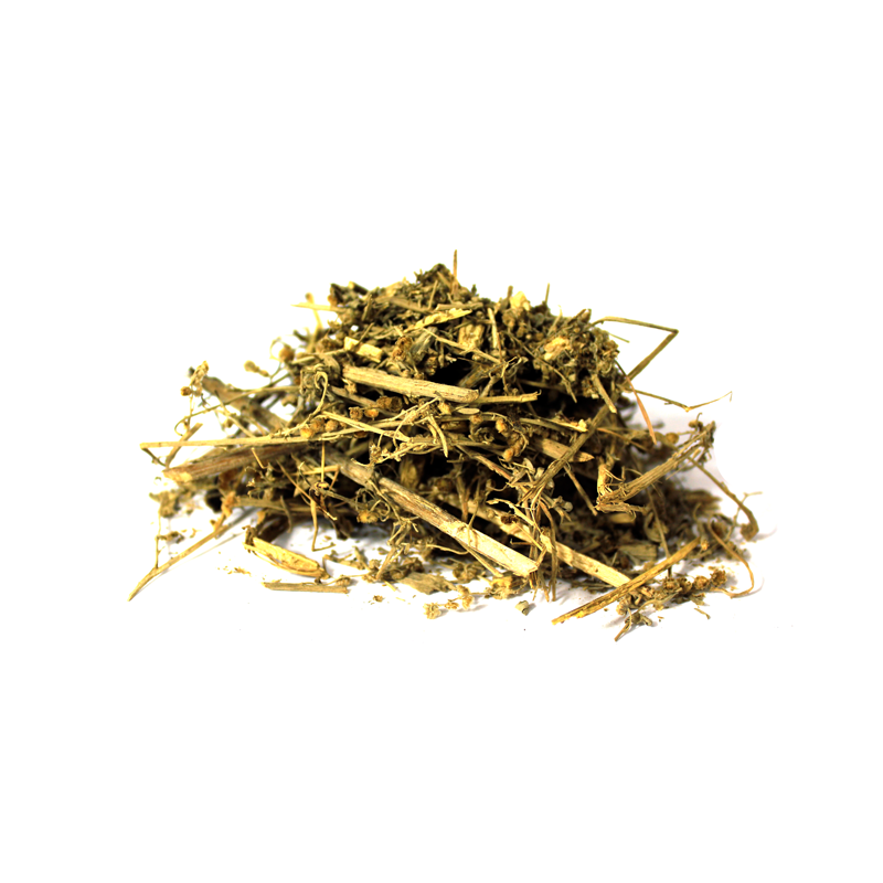 Dodder (Aftimoon,akash bail,amar bail)