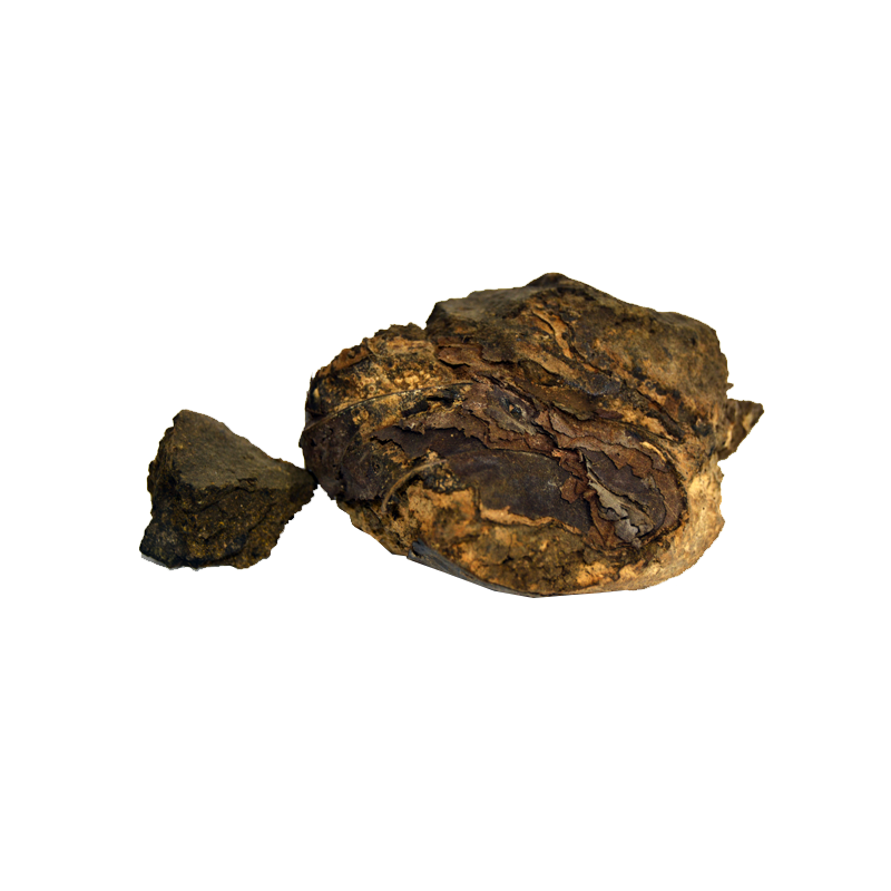 Indian Tree Turmeric (Rasoot India)