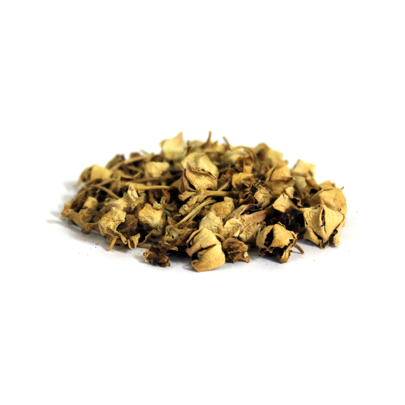 Crown Flower?(Gul Madar,Aak Ka phool)