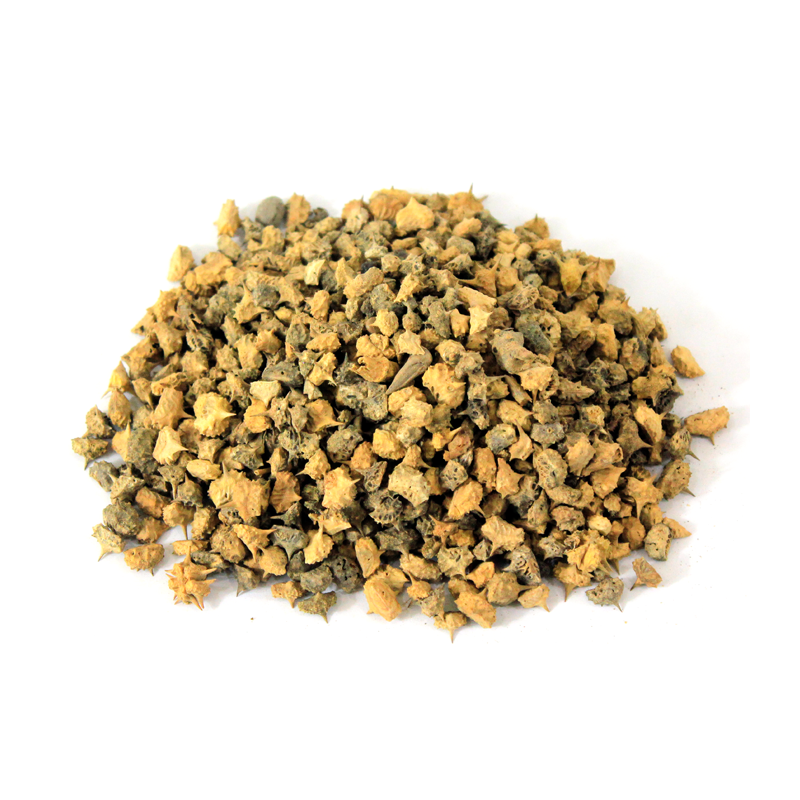 Puncture Vine (Ghokhru Khurd)