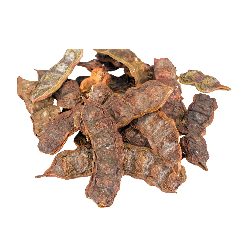 Soap Pod Wattle (Seekakai,shicacai)