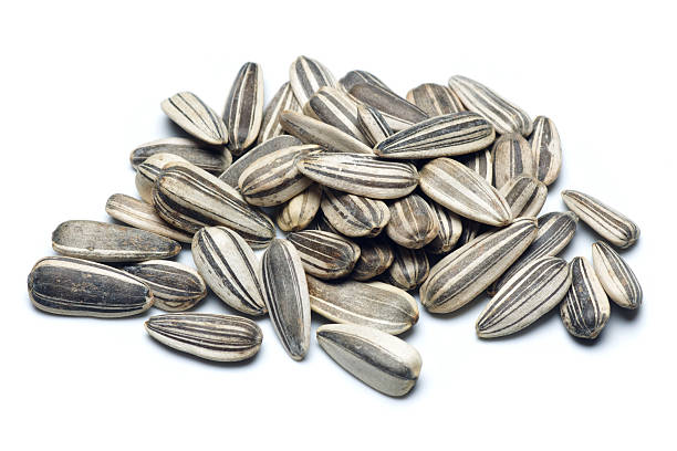 Green Sun flower Seeds